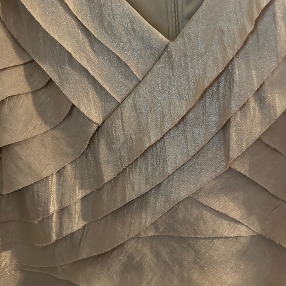 Stunning Champagne Colored Event Dress 20W - Picture 5 of 6